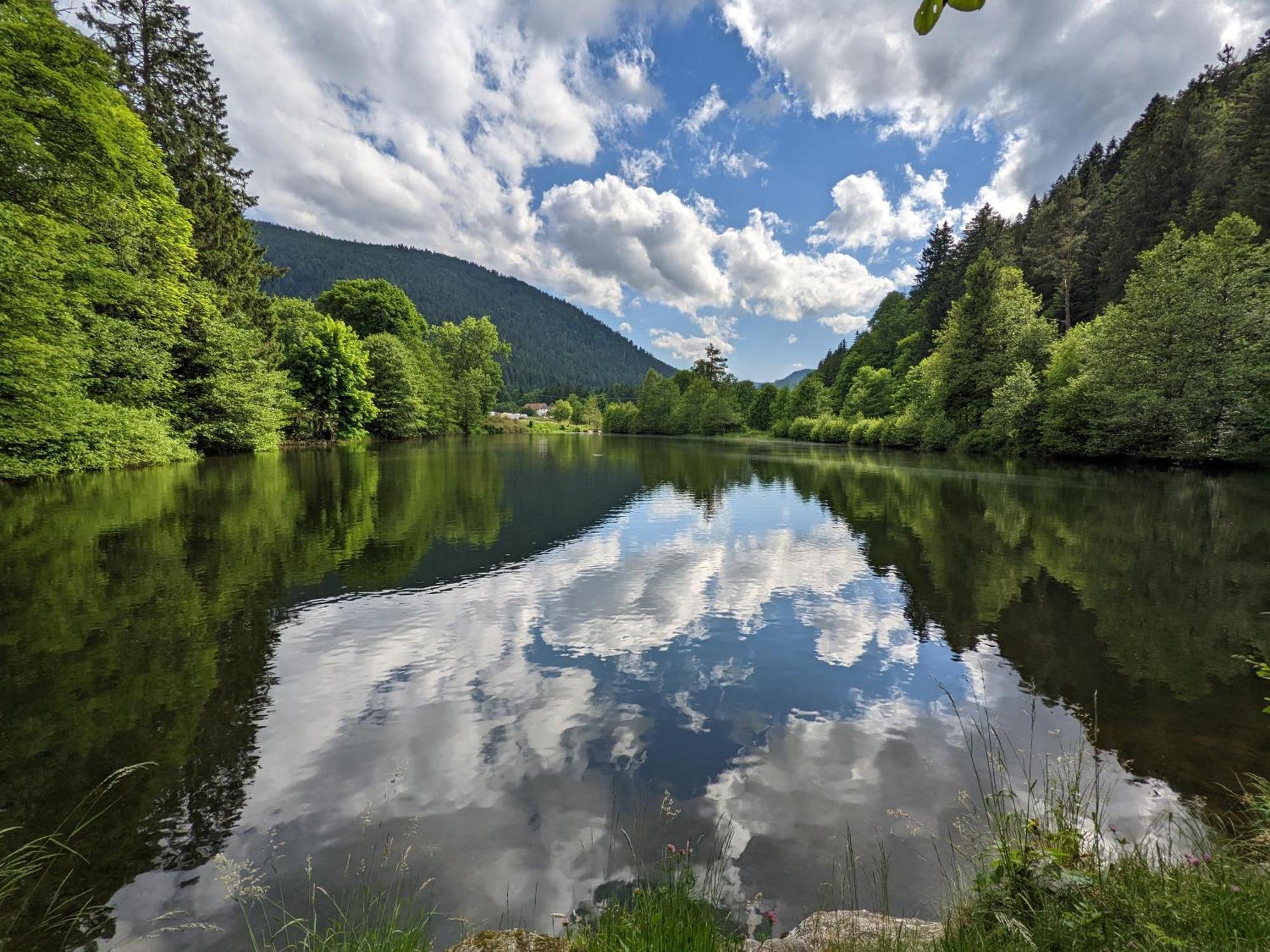 Villa Le Renard Des Vosges La Croix-aux-Mines Esterno foto