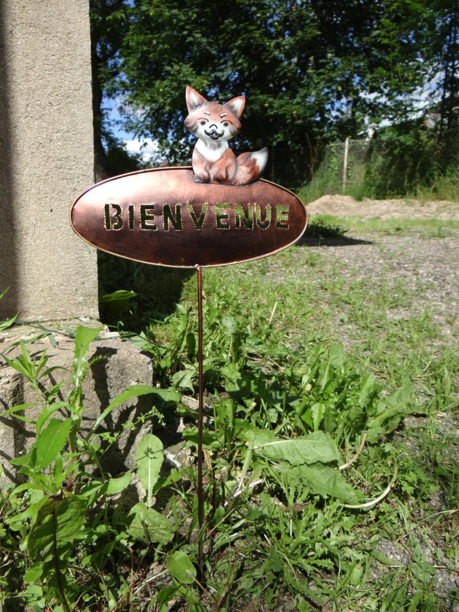 Villa Le Renard Des Vosges La Croix-aux-Mines Esterno foto